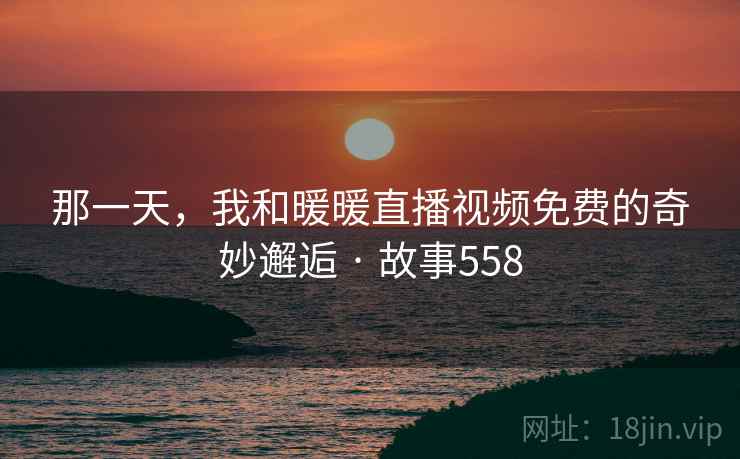 那一天，我和暖暖直播视频免费的奇妙邂逅 · 故事558