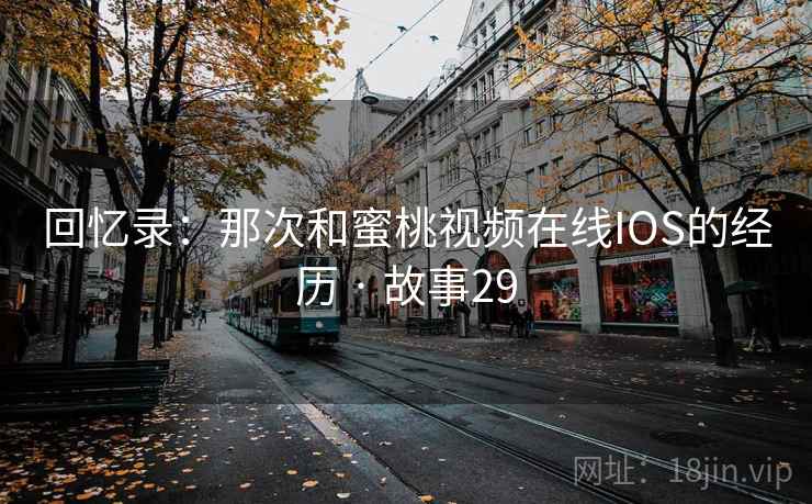 回忆录：那次和蜜桃视频在线IOS的经历 · 故事29